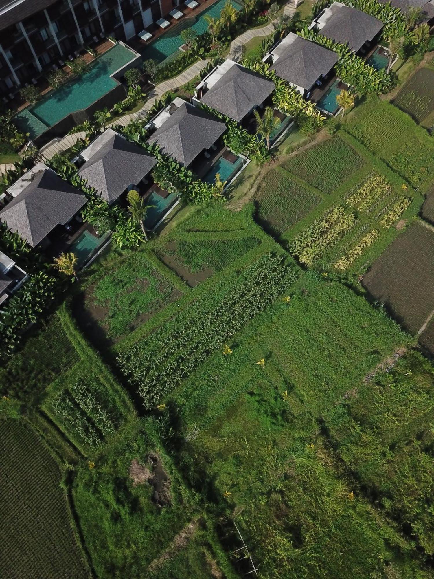 The Garcia Ubud Hotel & Resort Kültér fotó